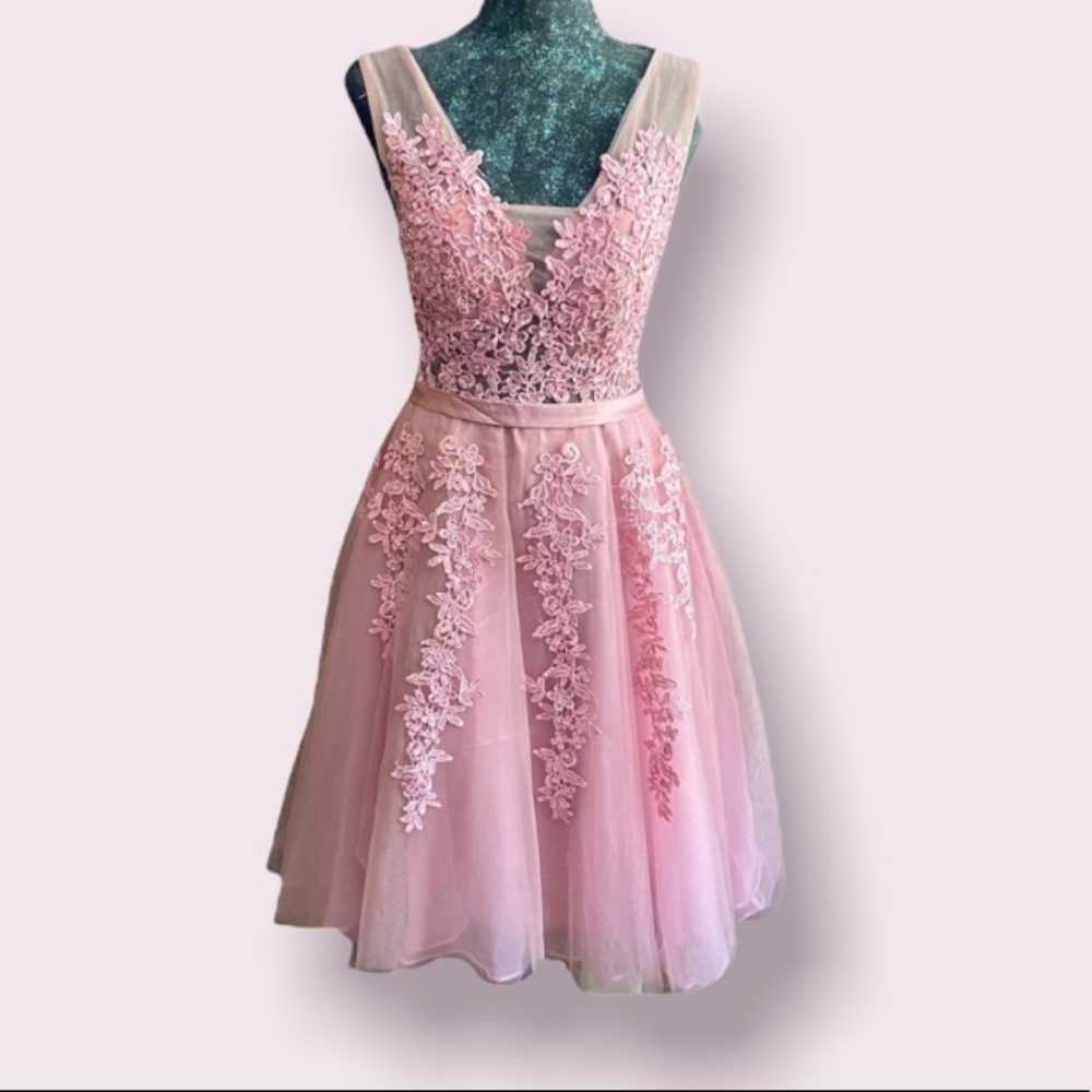 Vintage Pink Fairytale Lace and Sequin Party Dress